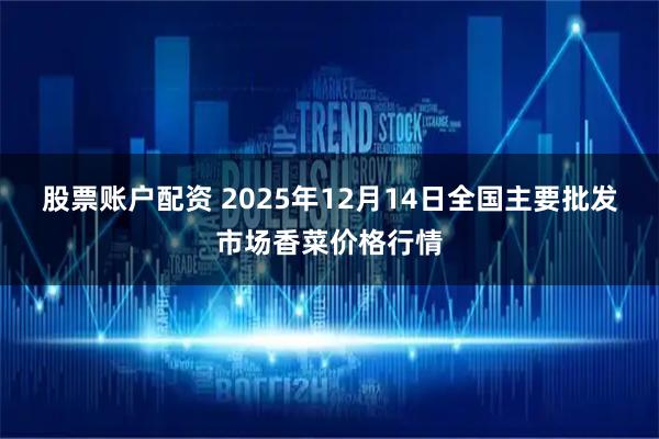 股票账户配资 2025年12月14日全国主要批发市场香菜价格行情