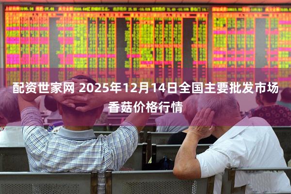 配资世家网 2025年12月14日全国主要批发市场香菇价格行情
